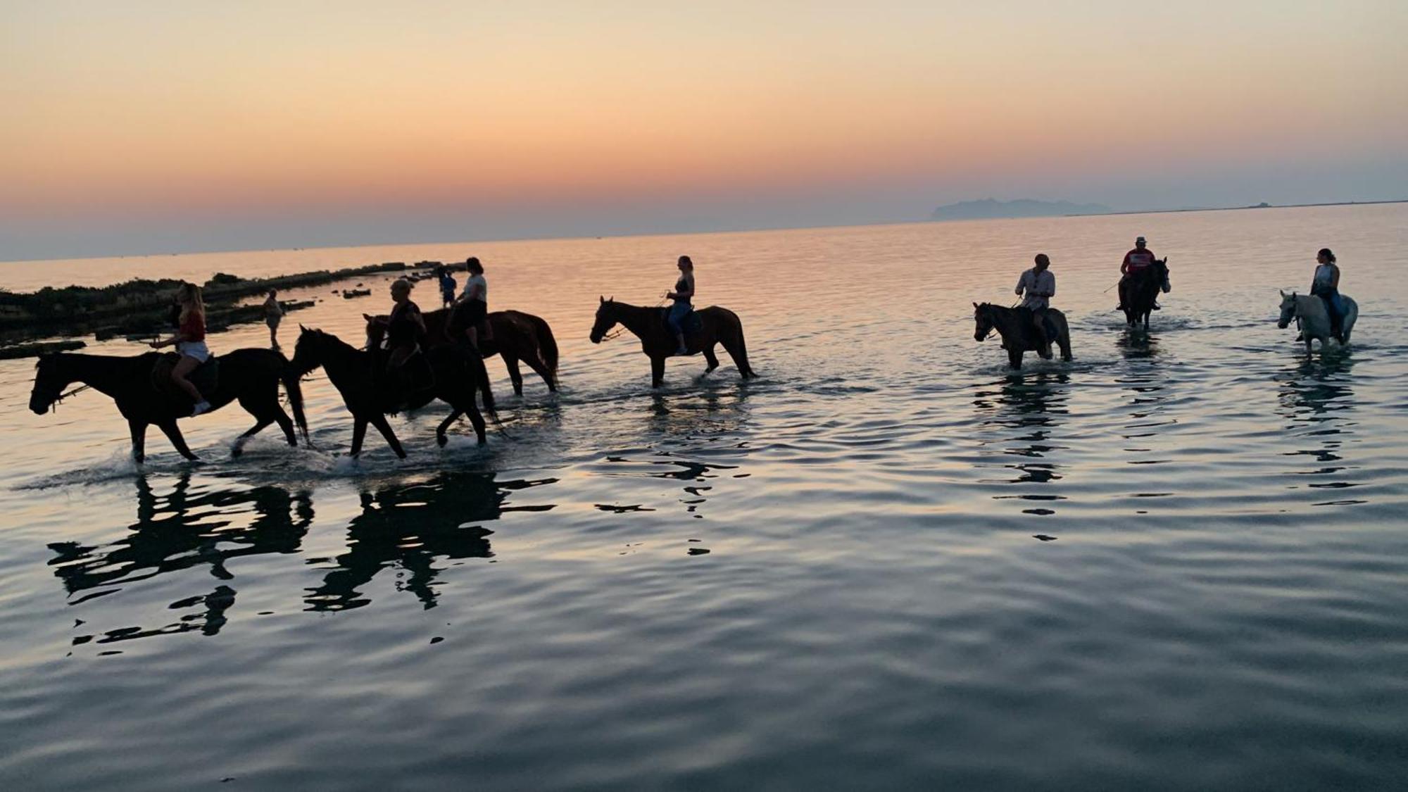 Séjour à la ferme La Mimosa Vacanze
