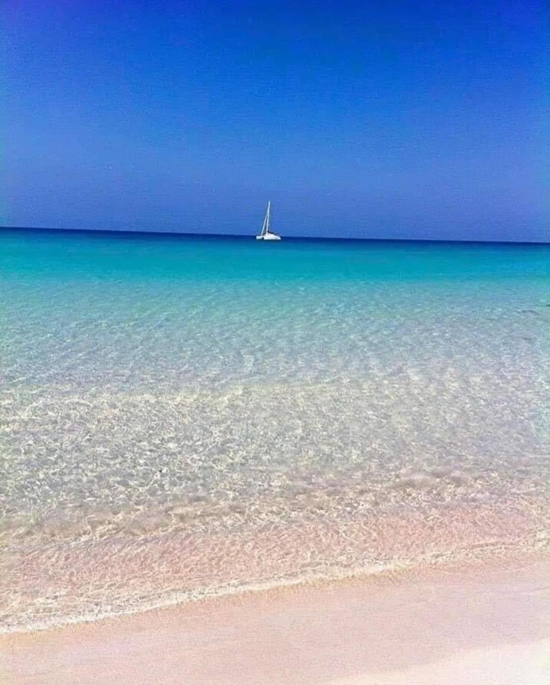 La Mimosa Vacanze