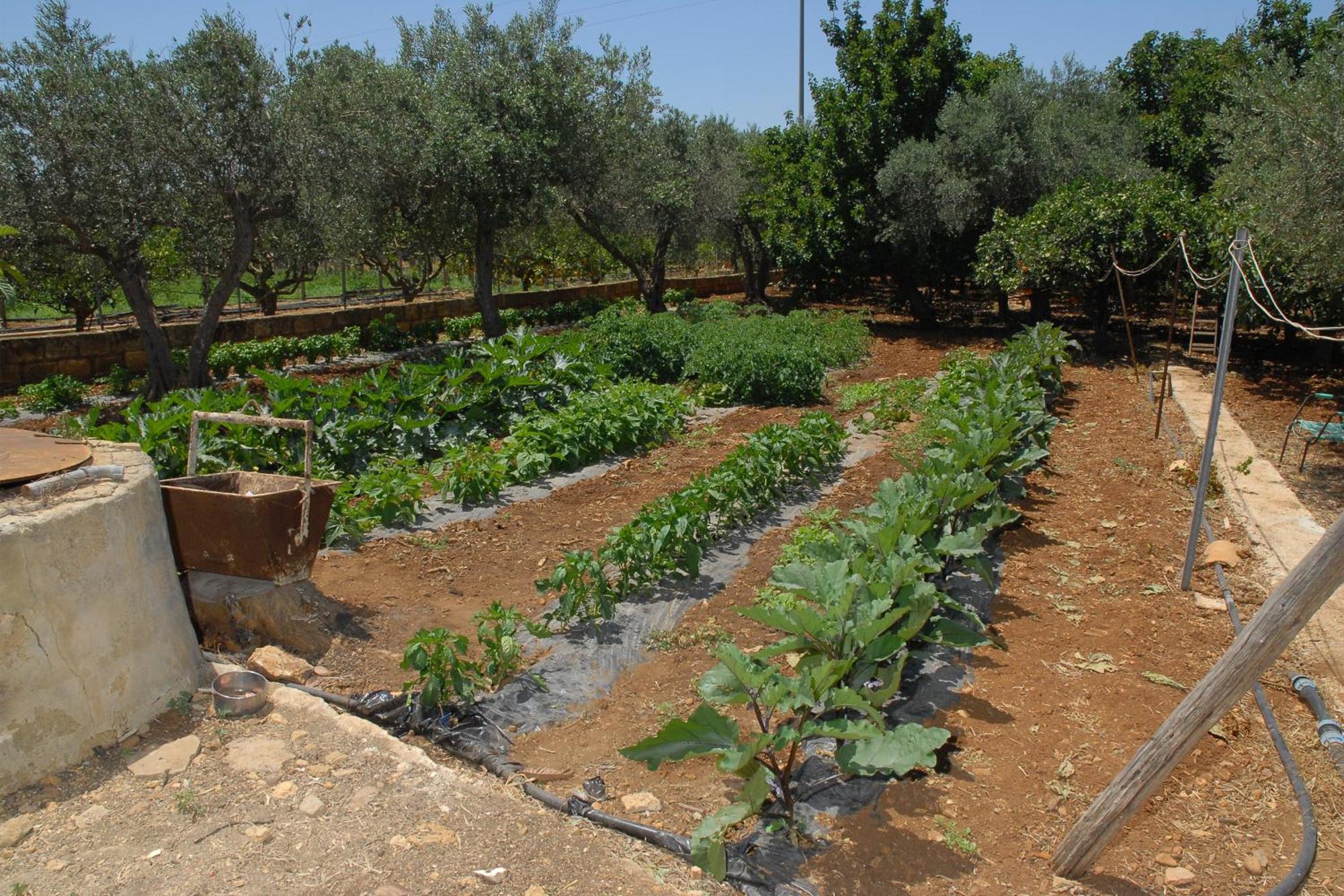 La Mimosa Vacanze Bauernhof Marsala